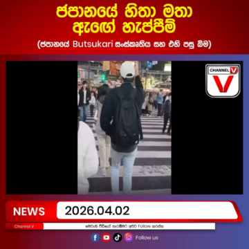 ජපානයේ හිතා මතා ඇඟේ හැප්පීම් ජපානයේ Butsukari සංස්කෘතිය සහ එහි පසු බිම…